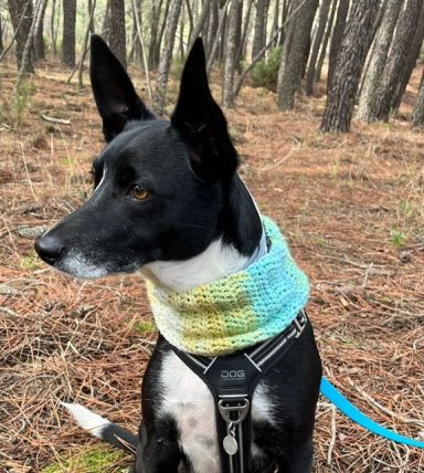 Ron con cuello de lana Nami Cuello de lana