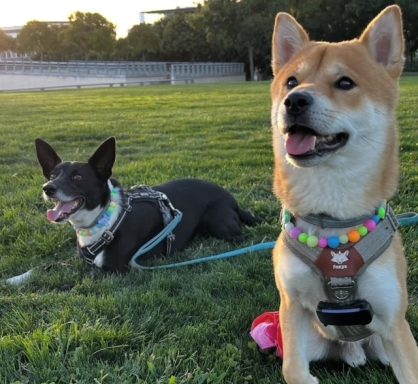 Amigos que brillan juntos.
